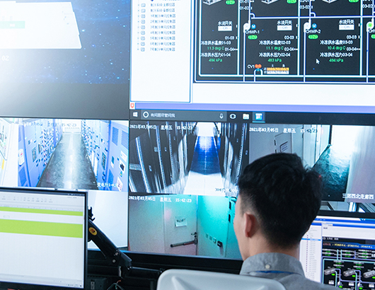 蚂蚁分类信息系统